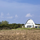 Una granja cualquiera en Kansas. Foto: Bart Everett / Shutterstock